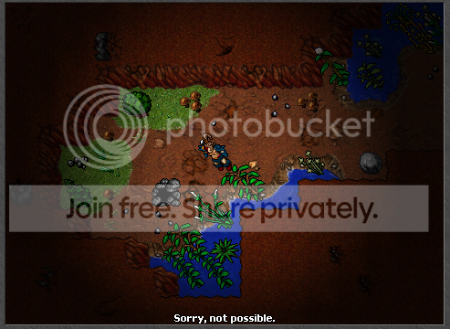 24.png