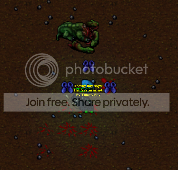 Themany_zpsf0814511.png
