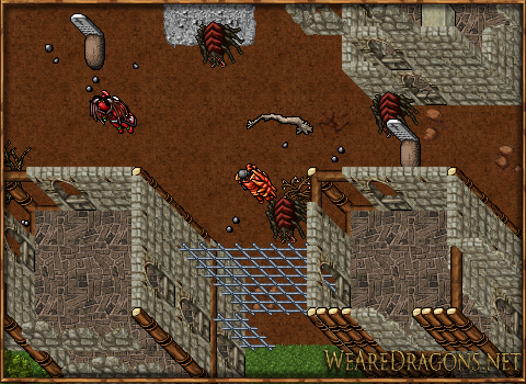 wad-2.png