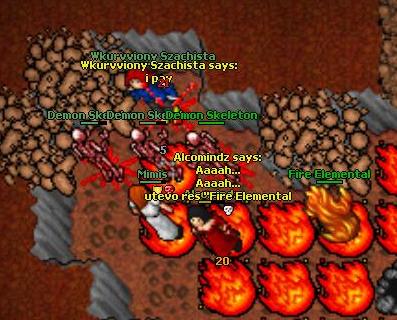 T564aw2.jpg