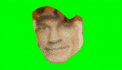 MaleCluelessAnnashummingbird-max-1mb.gif