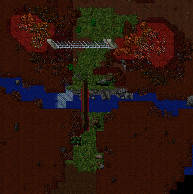 meduse.png