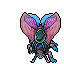 1546548722-Hibernal_Moth_(Mount).gif