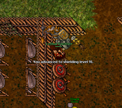 50p79xP.png