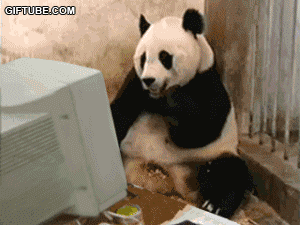 Panda_5ffb61_1588139.gif
