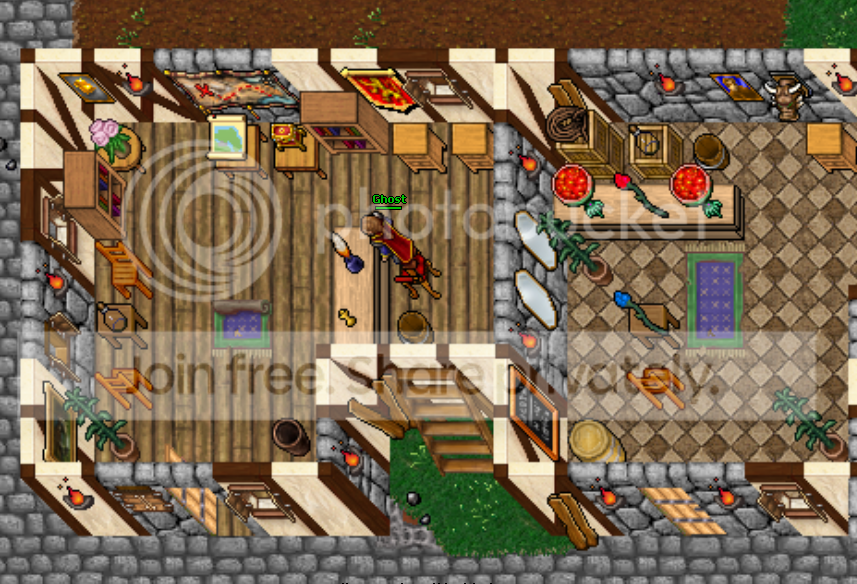 exola3.png