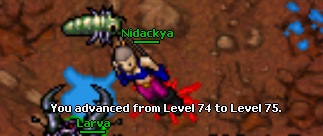 TegEDBL.jpg