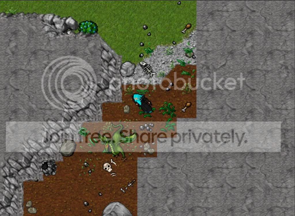 repigerabild18.jpg