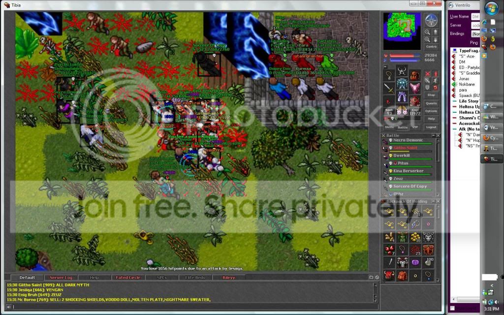 11v1.jpg