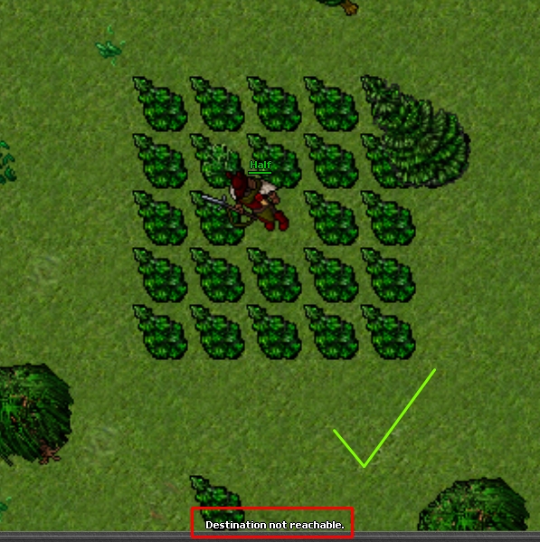 5D1HpT8kQ0q3aroGoPREKA.jpeg