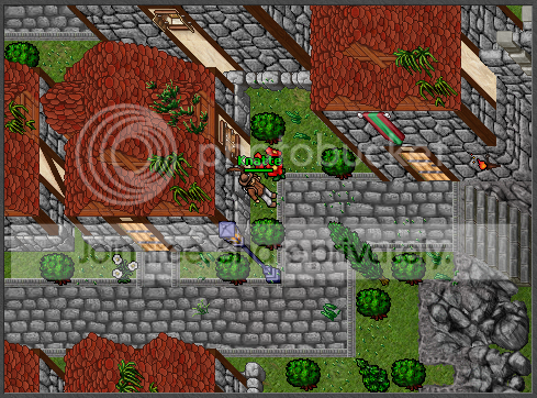 Teras3.png