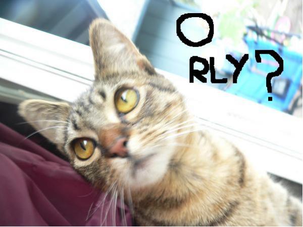 Oh+Realy+now+_e2cca8_20215.jpg