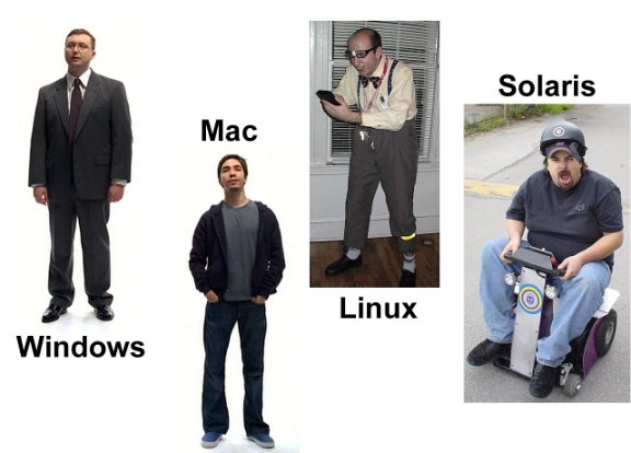 windows-vs-linux-vs-mac-vs-solaris2.jpg