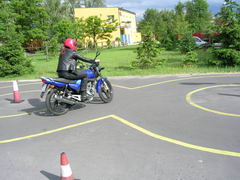 plac1a_m.jpg
