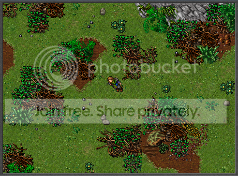7.png
