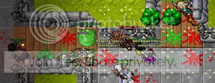 poooifsdfs.jpg