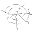 Spider_Silk.gif