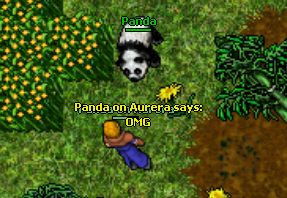 oMhbE.png