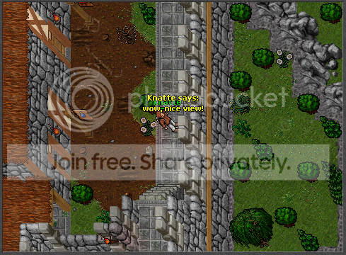 T6.png