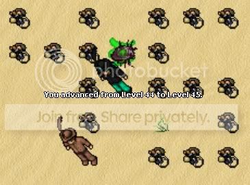 45mage.jpg