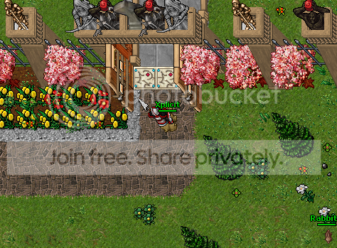 begin3.png