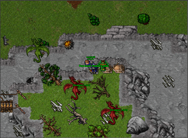 tibia_ots_dsm.png
