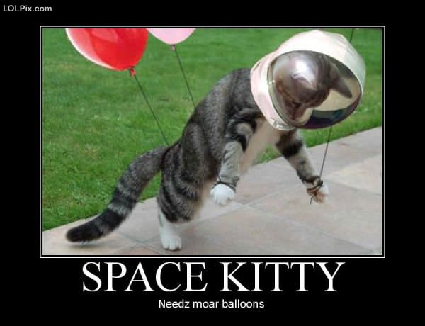 Funny_Pictures_80216.jpg