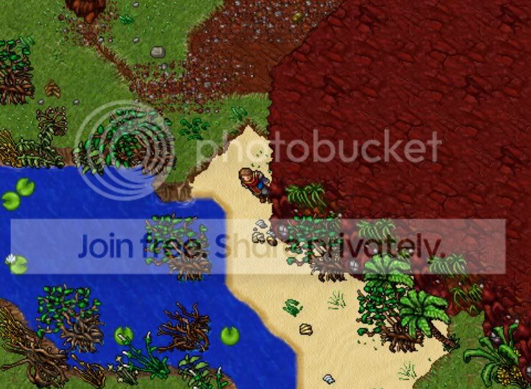 nature3.jpg