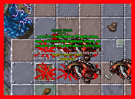 CaCyt74.jpg