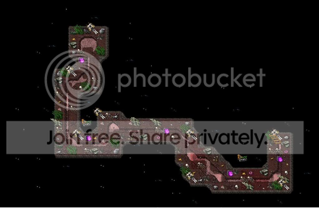 ss2.jpg