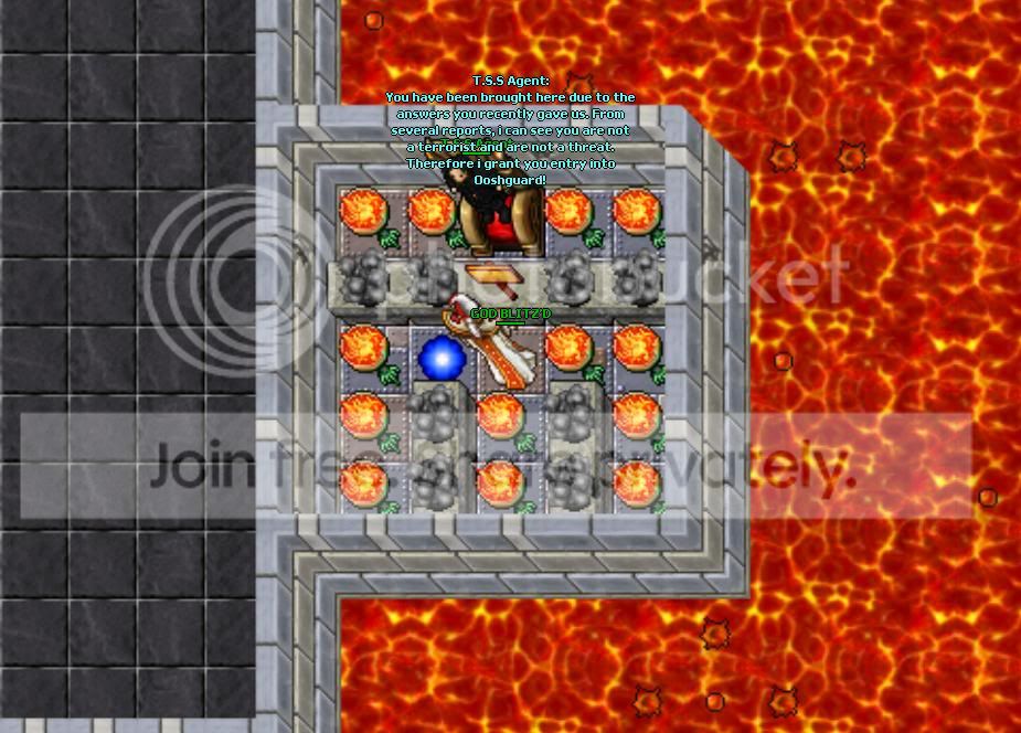 terrorist.jpg