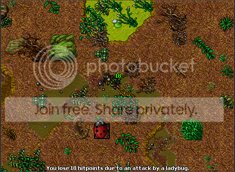3-3.png