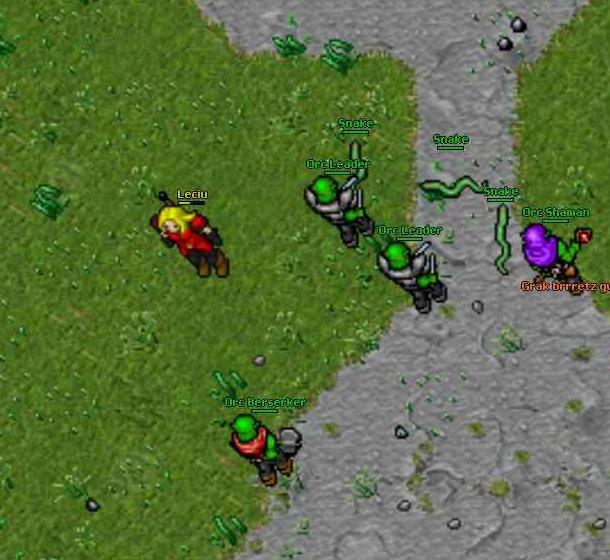 orc%20raid%20carlin.jpg
