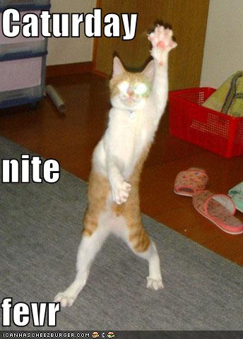 funny-pictures-caturday-night-fever-dancing-cat.jpg