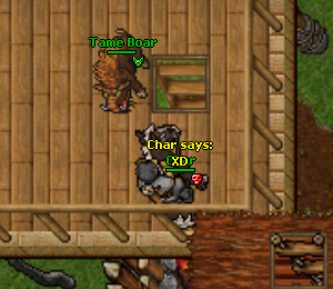 YVIi9Mo.png
