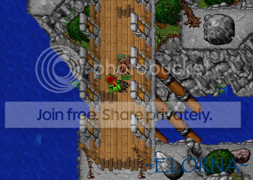 M3.png