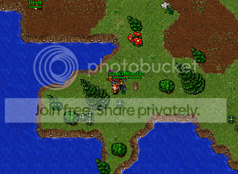 hg.png
