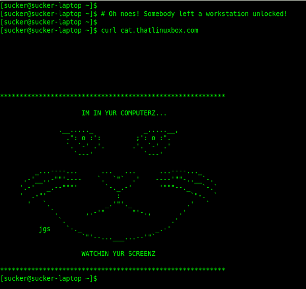 cat-meme-your-console_1.png