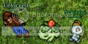 ivy.jpg