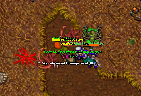 dIP9WXt.png