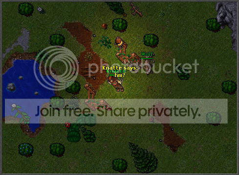 A3.png