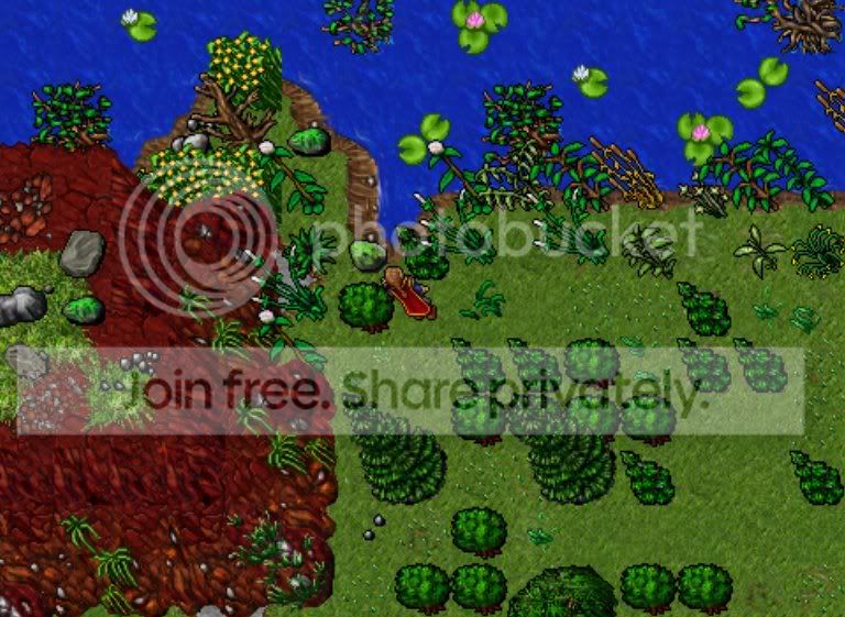 nature12.jpg