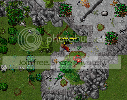 ss26.png