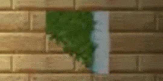 Ke97Po.gif