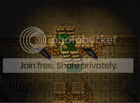 showoff15.png