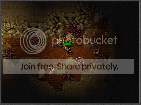 Ingame02.png