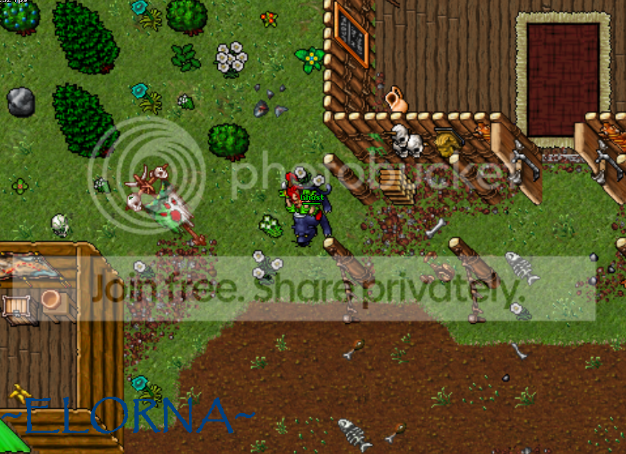 BARB4.png