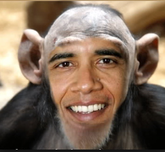 4a28a9a4c3854d529f78730f5a6e415e.png