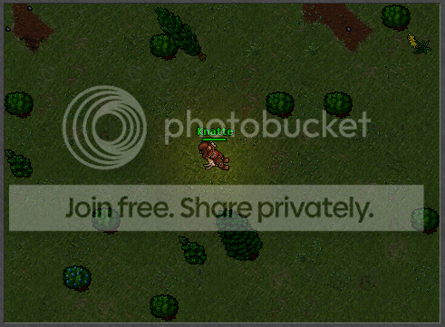 A4.png