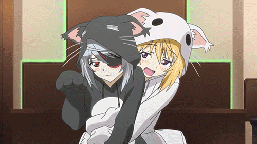 tumblr_mu48caITij1r7jzano2_r1_500.gif